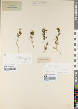 LE 01160934