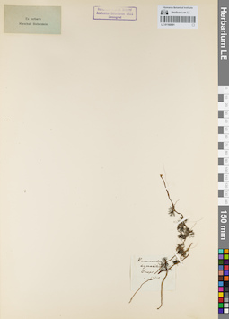 LE 01160991