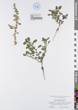 LE 01121288