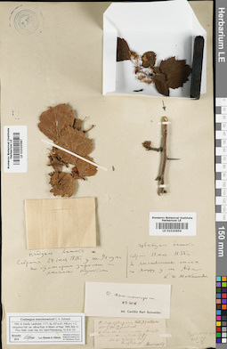 LE 01020587