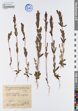 LE 01138525