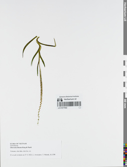 LE 01077842