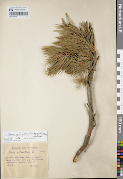 LE 01148159