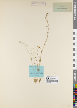 LE 01161506