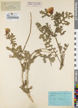 LE 01161186