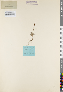 LE 01161191