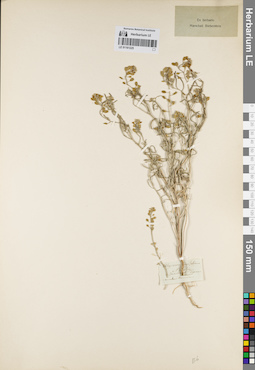 LE 01161225
