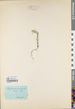 LE 01161229