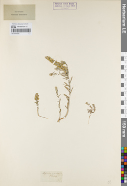 LE 01161232