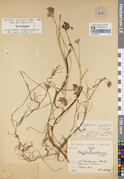 LE 01072844
