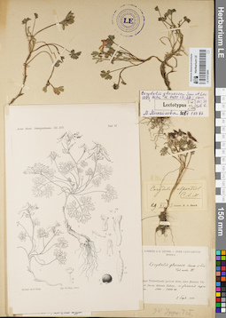 LE 01072860