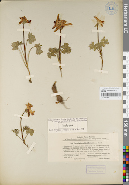 LE 01072869