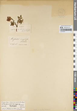 LE 01072874