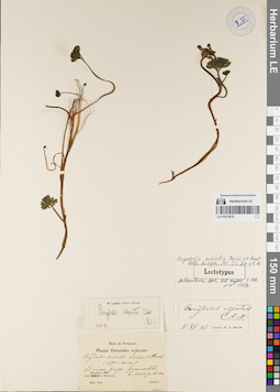 LE 01072878