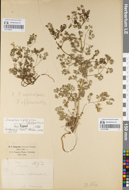 LE 01180432