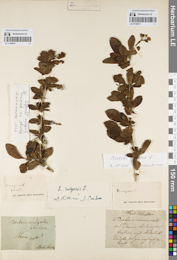 LE 01180417