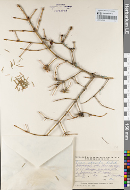 LE 01147812