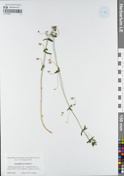 LE 01109157