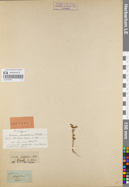 LE 01161149