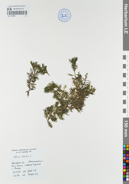 LE 01121863