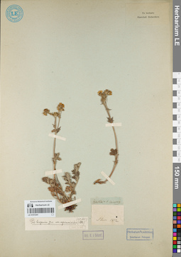 LE 01072341