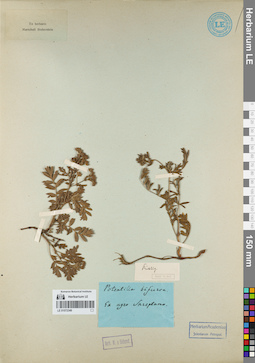 LE 01072349