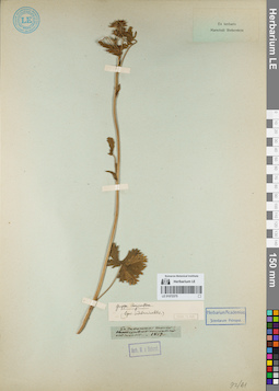 LE 01072375