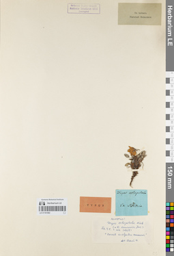 LE 01161582