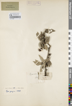 LE 01161628