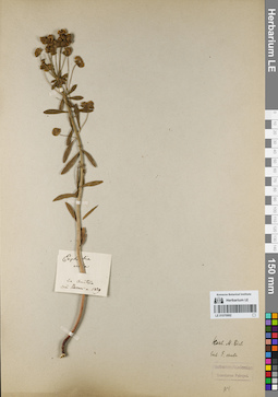 LE 01070992