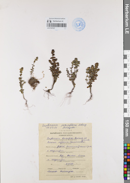 LE 01107337