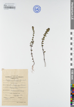 LE 01107343