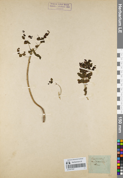 LE 01071027