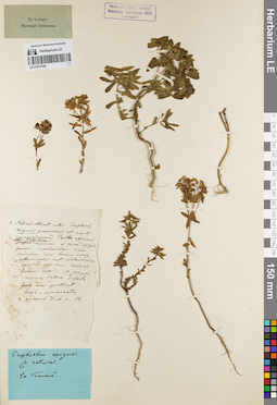 LE 01071046