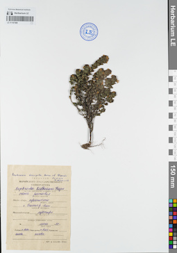 LE 01107368