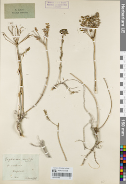 LE 01071052