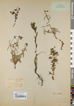 LE 01071055