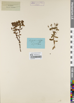 LE 01071057