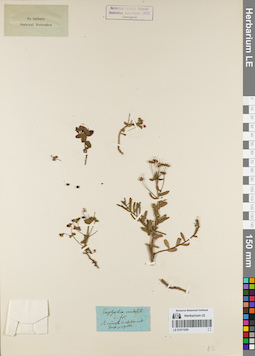 LE 01071059