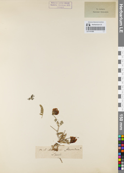 LE 01161669