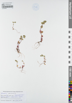 LE 01109154