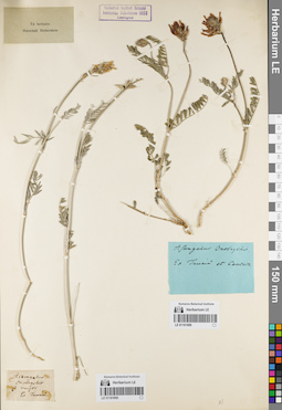 LE 01161689