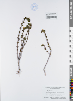 LE 01120092