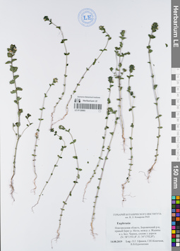 LE 01120093