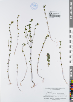 LE 01120094
