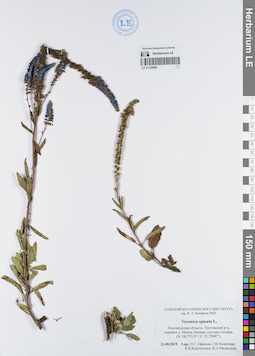 LE 01120096