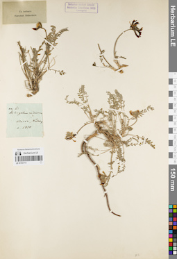 LE 01161711