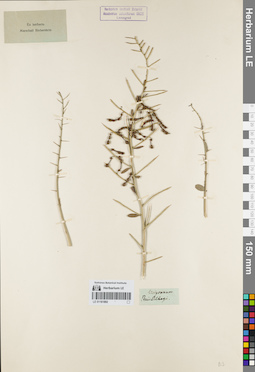 LE 01161892