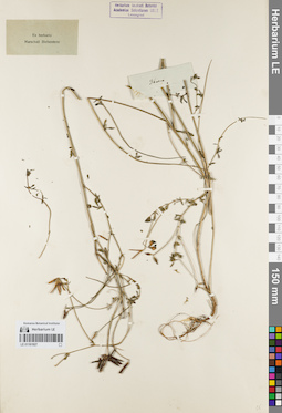 LE 01161927