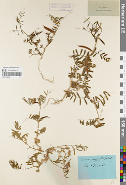 LE 01162076